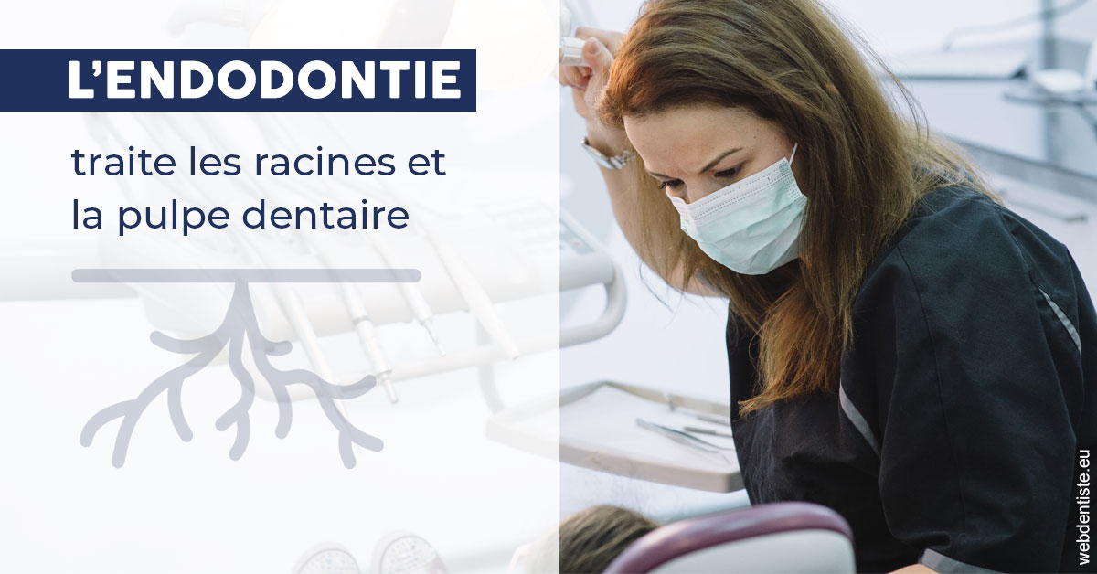 https://dr-david-mailhes.chirurgiens-dentistes.fr/L'endodontie 1