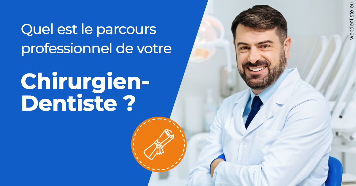 https://dr-david-mailhes.chirurgiens-dentistes.fr/Parcours Chirurgien Dentiste 1