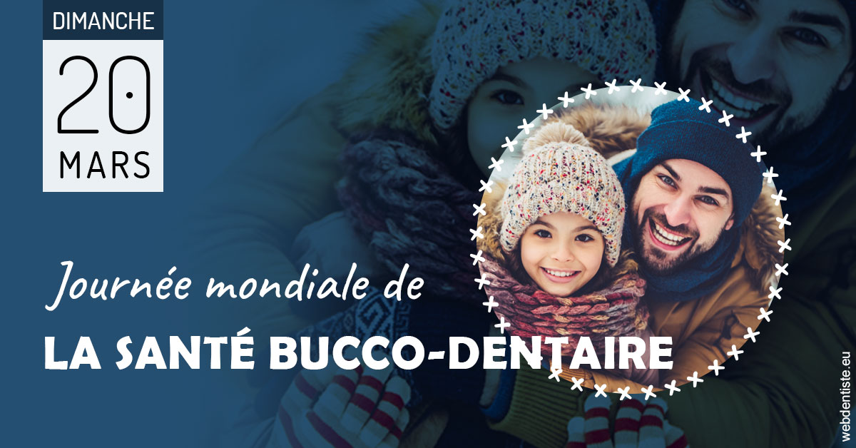 https://dr-david-mailhes.chirurgiens-dentistes.fr/La journée de la santé bucco-dentaire 1
