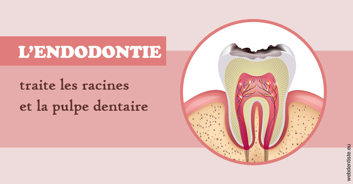 https://dr-david-mailhes.chirurgiens-dentistes.fr/L'endodontie 2