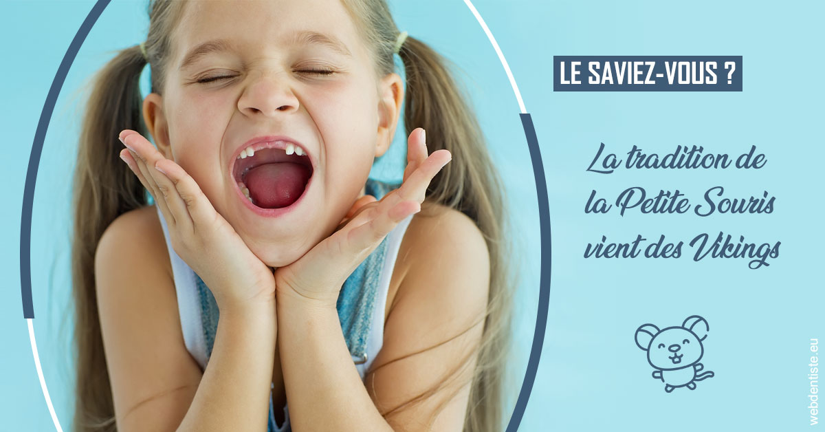 https://dr-david-mailhes.chirurgiens-dentistes.fr/La Petite Souris 1