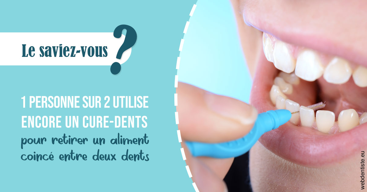 https://dr-david-mailhes.chirurgiens-dentistes.fr/Cure-dents 1